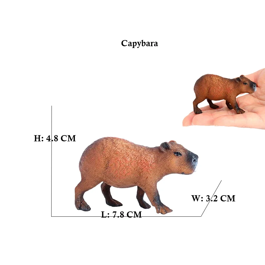 Plastic Capibara Model Toys Ca - Kids Toys Reviews review and price
