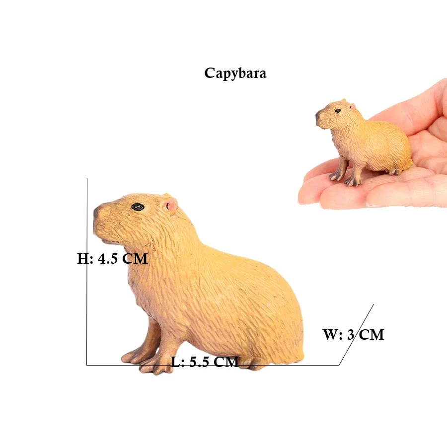 Plastic Capibara Model Toys Ca - Kids Toys Reviews review and price