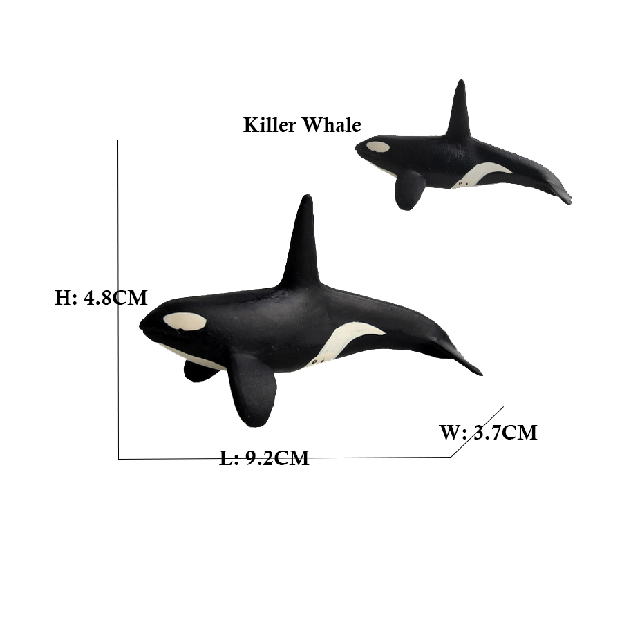 Marine Animals Toy Megalodon B - Kids Toys Reviews review and price