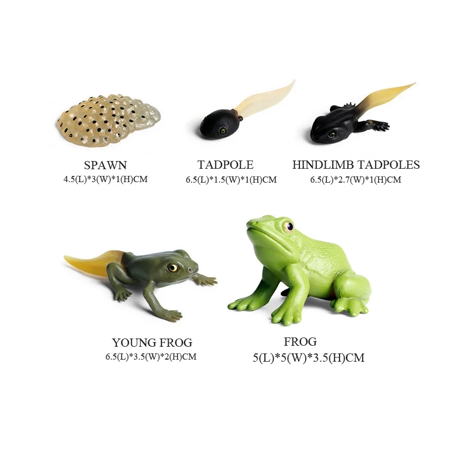 Frogs Models Wild Animals Figu - Kids Toys Reviews review and price